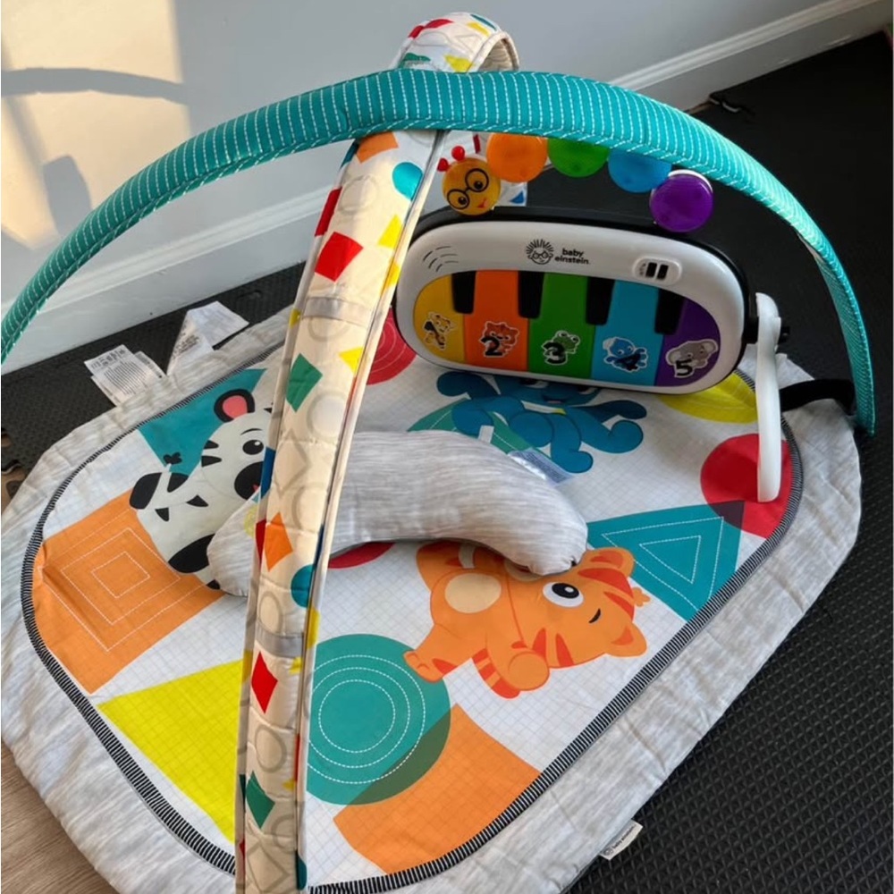 Baby Einstein play gym